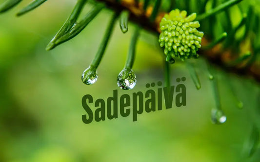 Sade mikä ihana tekosyy peli illalle!